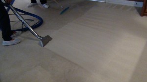 Carpet Cleaning St Charles IL