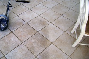 Tile and Grout Cleaning Elgin IL