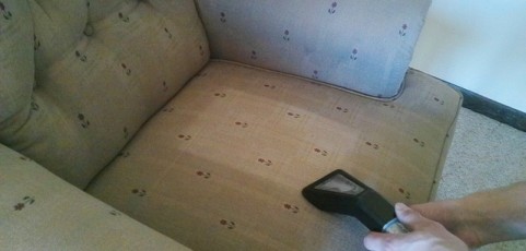 Upholstery Cleaning in Elgin IL