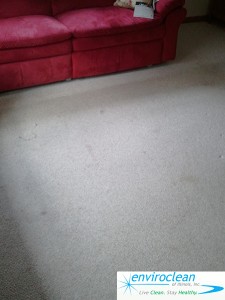 Carpet cleaning carpentersville il