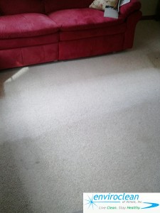 Carpet Cleaning in Carpentersville Il