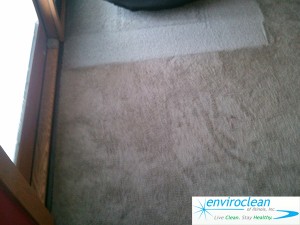 Carpet Cleaning Pingree Grove