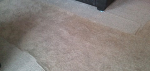 Carpet Cleaning Pingree Grove IL