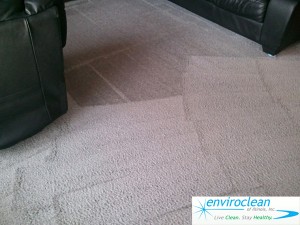 Carpet Cleaning Pingree Grove