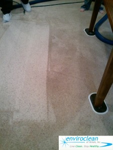 Carpet Cleaning Pingree Grove