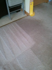 Carpet Cleaning Elgin IL