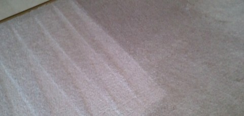 Carpet Cleaning Elgin IL