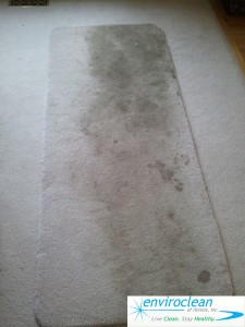 Carpet Cleaning Dundee IL