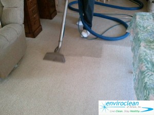 Carpet Cleaning South Elgin, IL