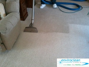 Carpet Cleaning South Elgin, IL