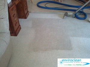 Carpet Cleaning South Elgin, IL