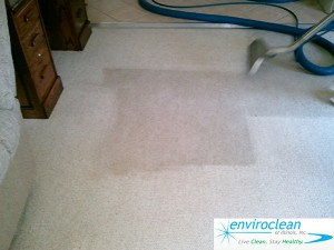 Carpet Cleaning South Elgin, IL