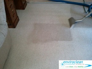 Carpet Cleaning South Elgin, IL