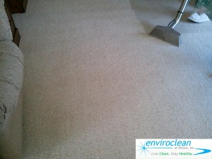 Carpet Cleaning South Elgin, IL