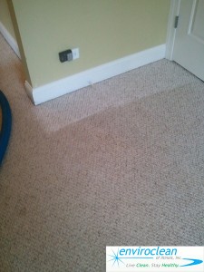 Carpet Cleaning in Bartlett IL