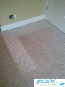 Carpet Cleaning in Bartlett IL