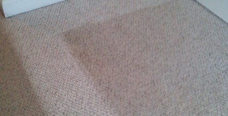 Carpet Cleaning Bartlett IL