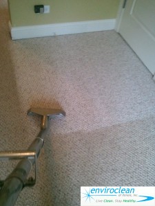 Carpet Cleaning in Bartlett IL