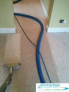 Carpet Cleaning in Bartlett IL