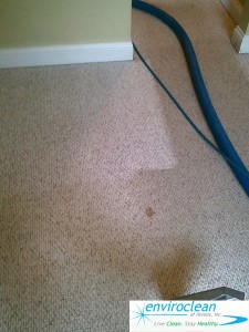 Carpet Cleaning in Bartlett IL