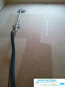 Carpet Cleaning in Bartlett IL