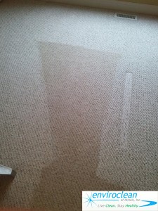 Carpet Cleaning in Bartlett IL