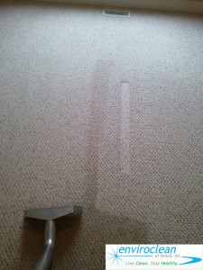 Carpet Cleaning in Bartlett IL