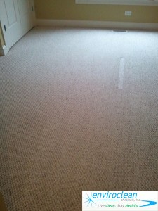 Carpet Cleaning in Bartlett IL