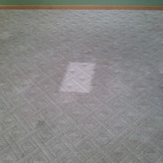 Commercial Carpet Cleaning Elgin IL