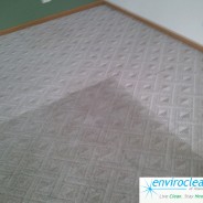 Elgin Illinois Carpet Cleaner