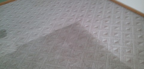 Elgin Illinois Carpet Cleaner