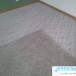 Elgin Illinois Carpet Cleaner