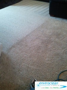 Barrington IL Carpet Cleaner