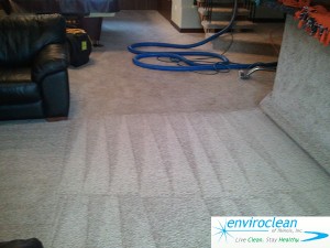 Barrington IL Carpet Cleaning