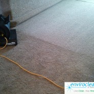 Barrington IL Carpet Cleaner