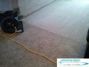 Carpet Cleaning St Charles IL