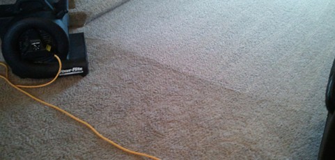 Barrington IL Carpet Cleaner