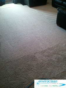 Barrington IL Carpet Cleaning