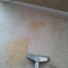 Professional Stain Removal | Carpet or Upholstery Stain Removal and Spot Cleaning