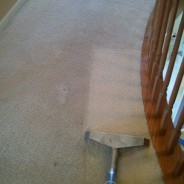 Lakewood IL Carpet Cleaning