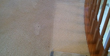 Lakewood IL Carpet Cleaning