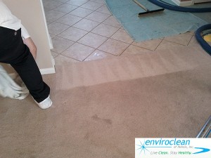 Carpet Cleaning Crystal Lake IL