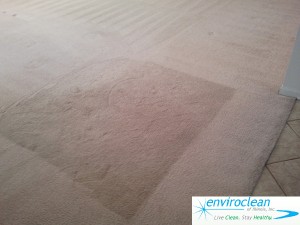 Carpet Cleaning Crystal Lake IL