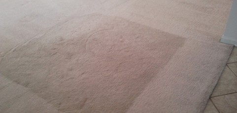 Carpet Cleaning Crystal Lake IL