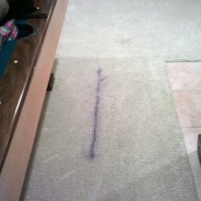 Can stains be removed from carpet?