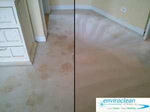 Carpet Cleaning St Charles IL