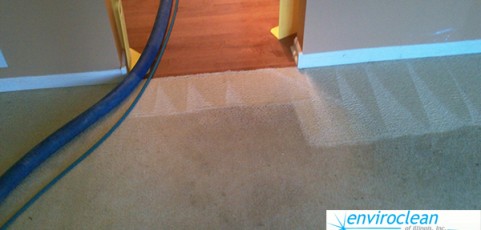 Carpet Cleaning Lakewood IL