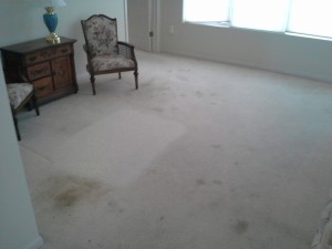 Carpet Cleaning St Charles IL