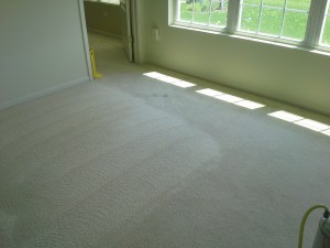 Carpet Cleaning St Charles IL